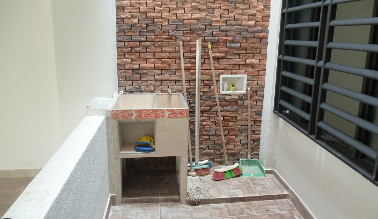 P1040232 - copia - copia